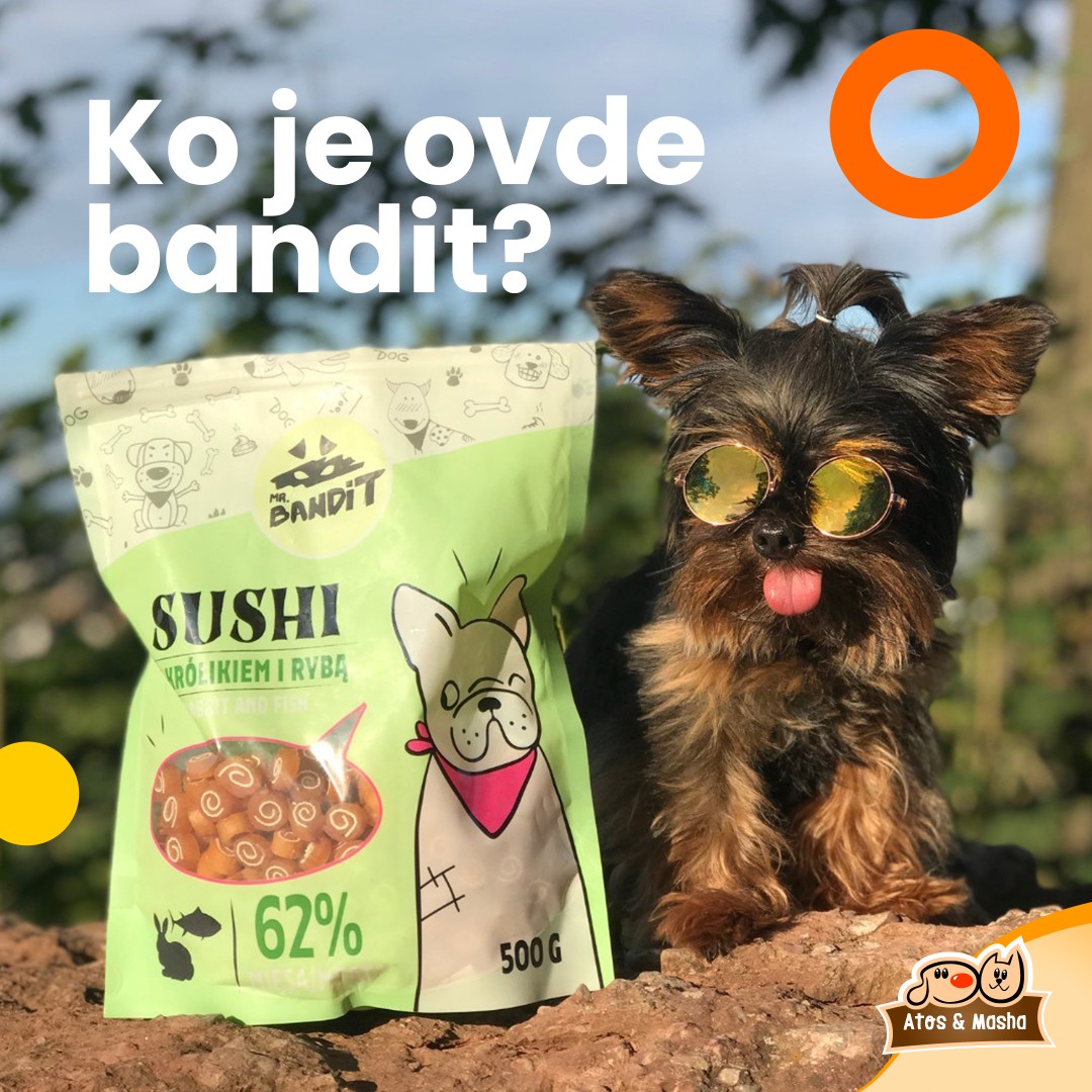 atosimasha.petshop_1709637243_3317000060107669614_51255091382
